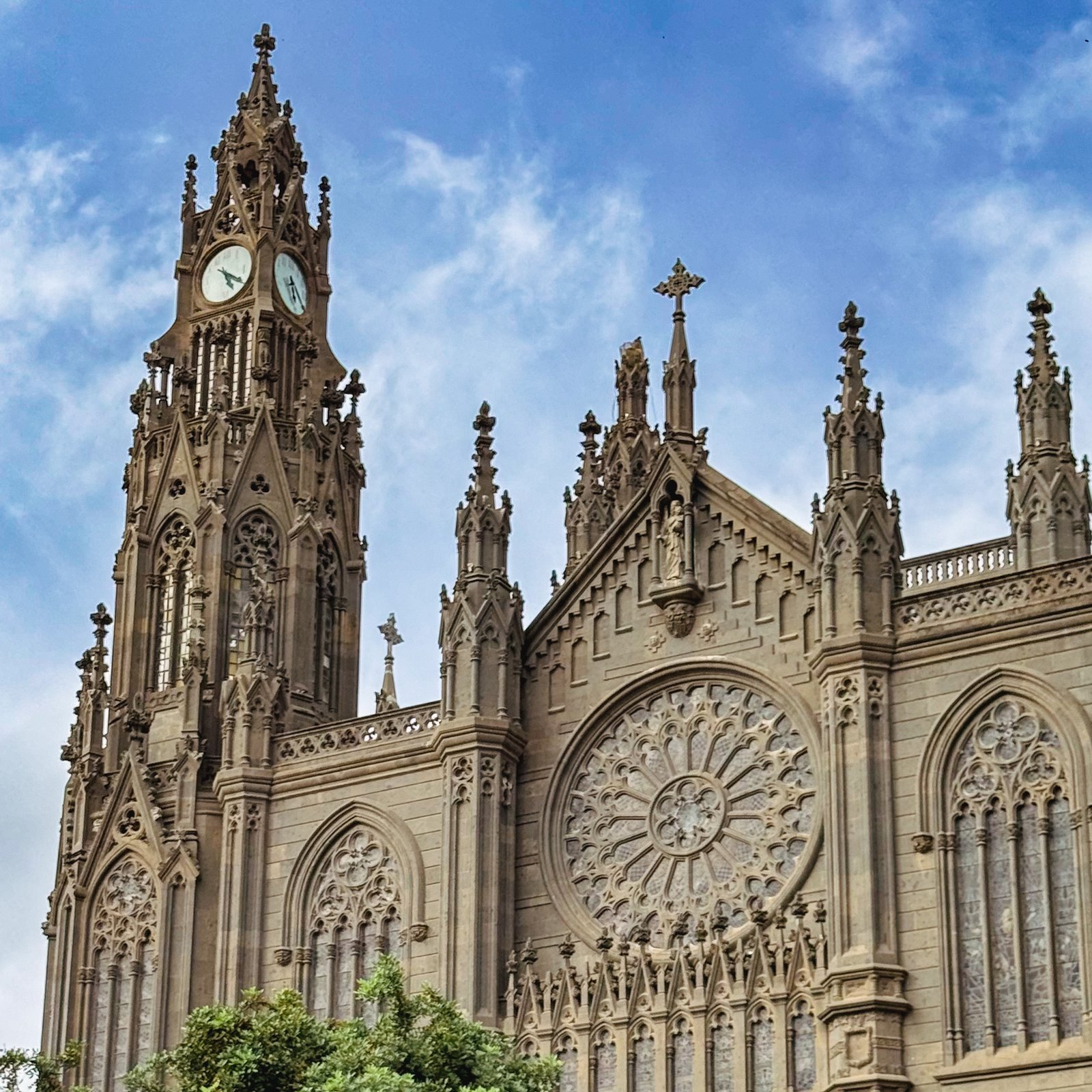 arecas gran canaria