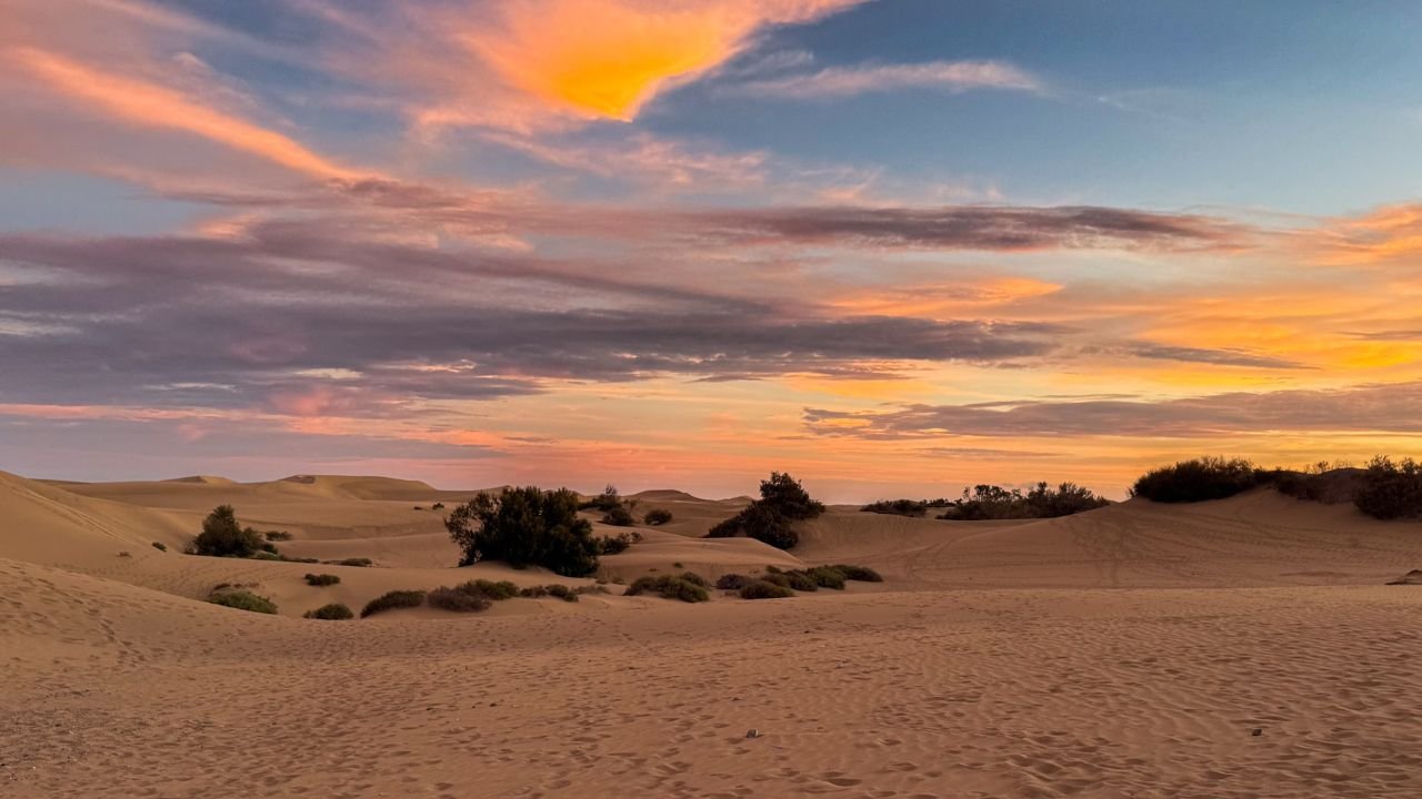 gran canaria maspalomas
