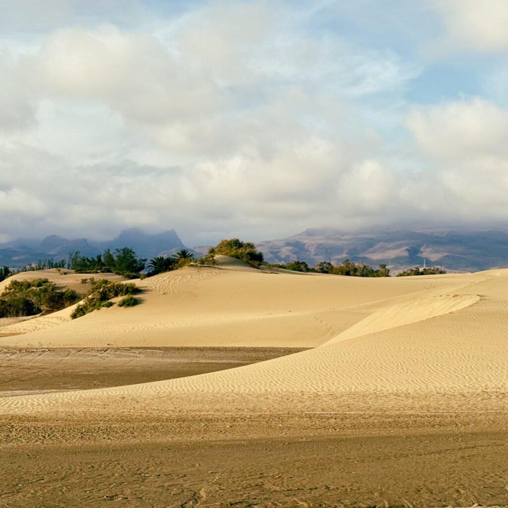 Dunas de Maspalomas Gran Canaria