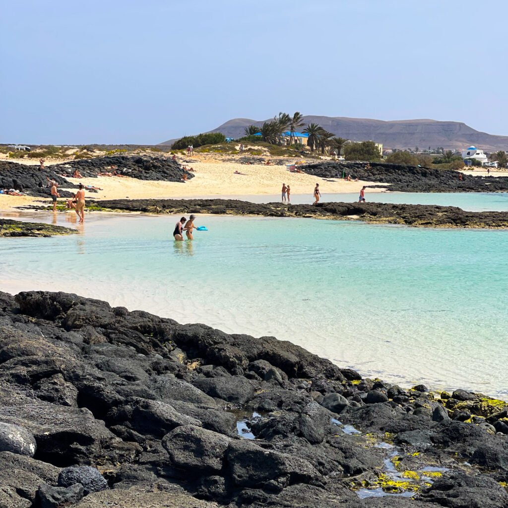 playas de fuerteventura