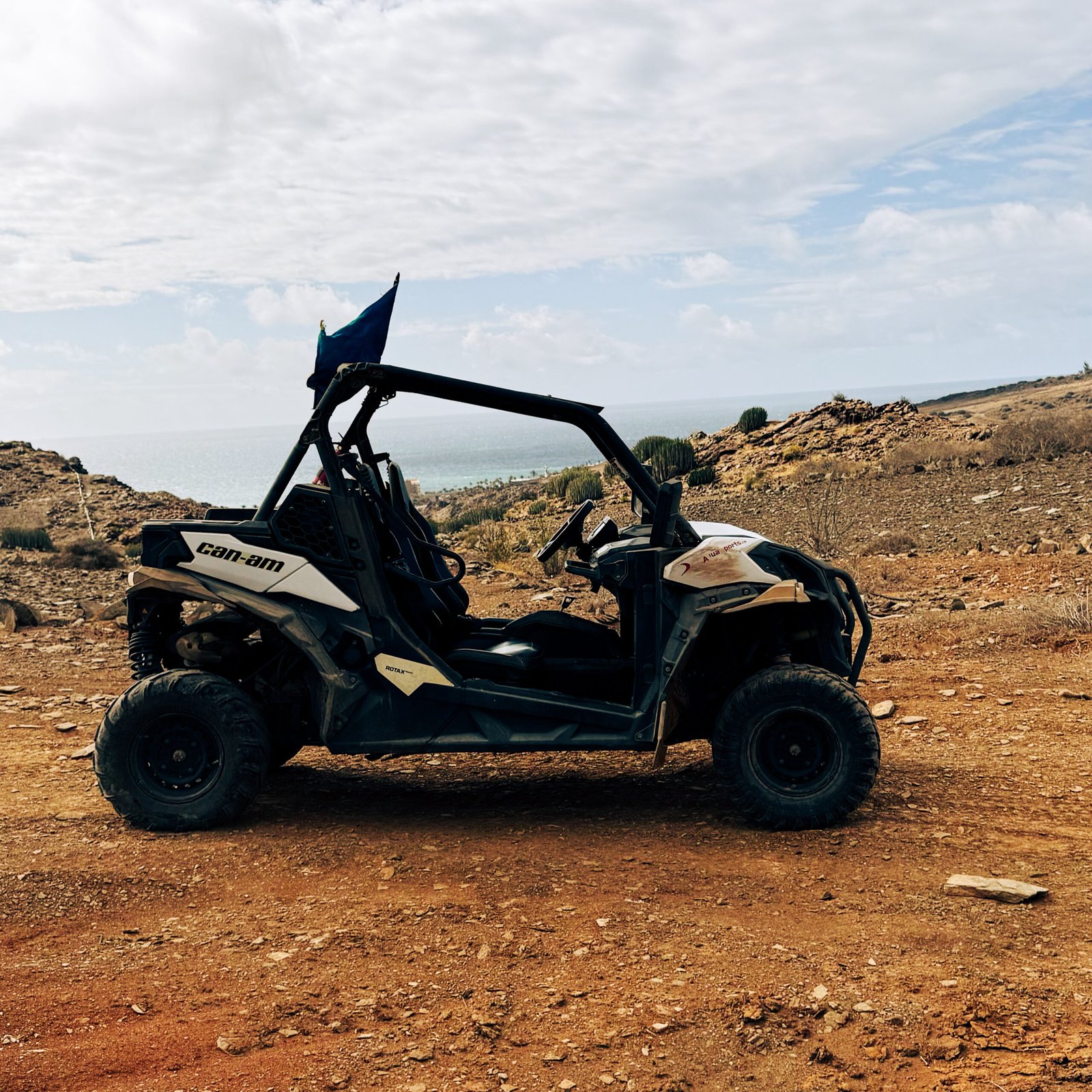 buggy