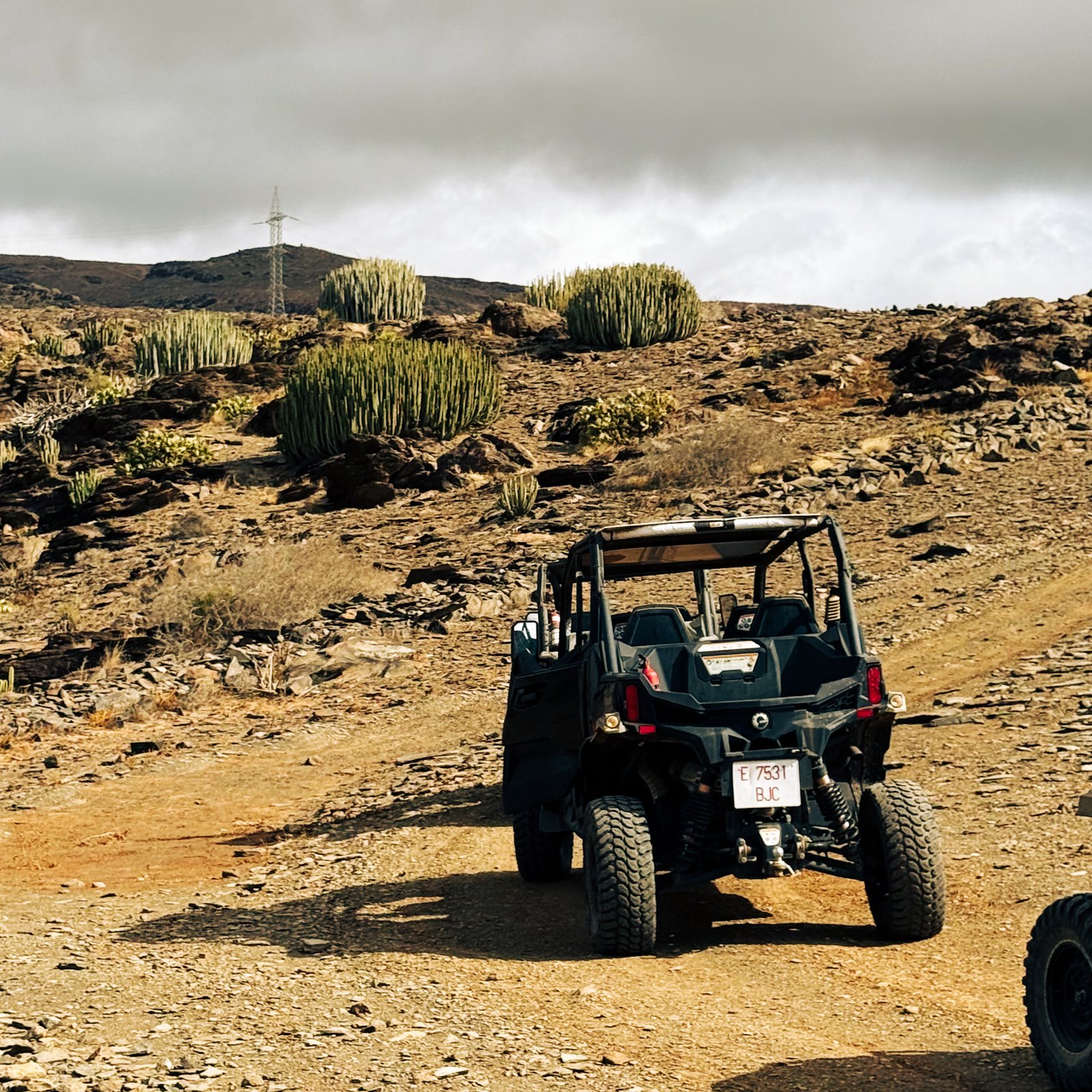 buggy offroad 100% gran canaria